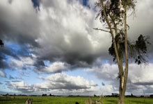 圣贝内伽主场逆转击败对手，提升排名