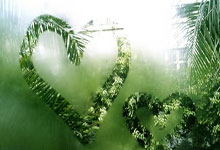 瑞典队将全力以赴，争夺胜利