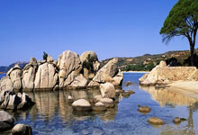 费雷斯尼主场大胜，取得连胜