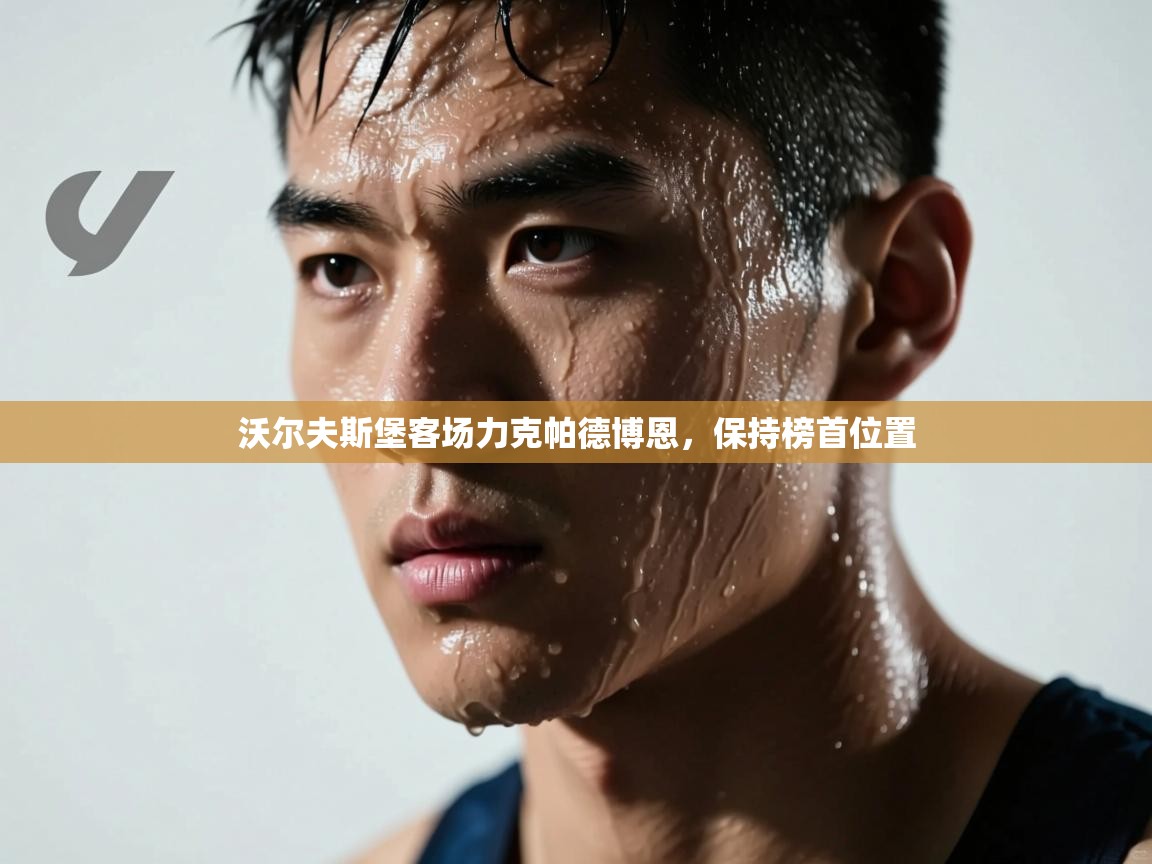 沃尔夫斯堡客场力克帕德博恩，保持榜首位置  第2张