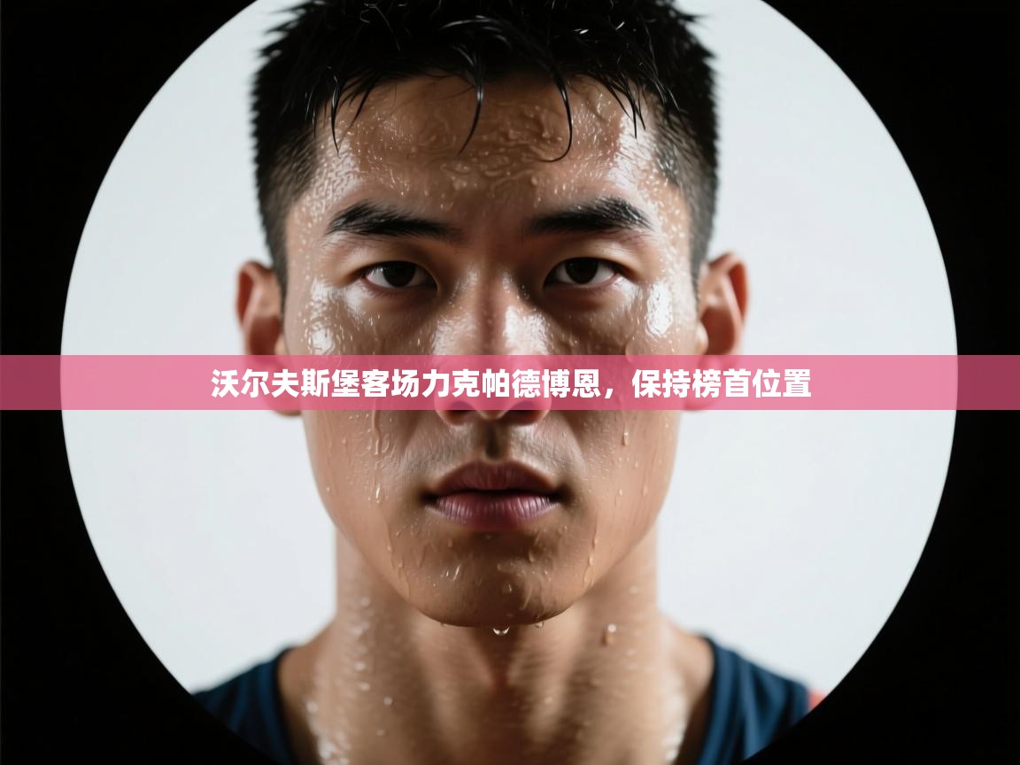 沃尔夫斯堡客场力克帕德博恩，保持榜首位置  第1张