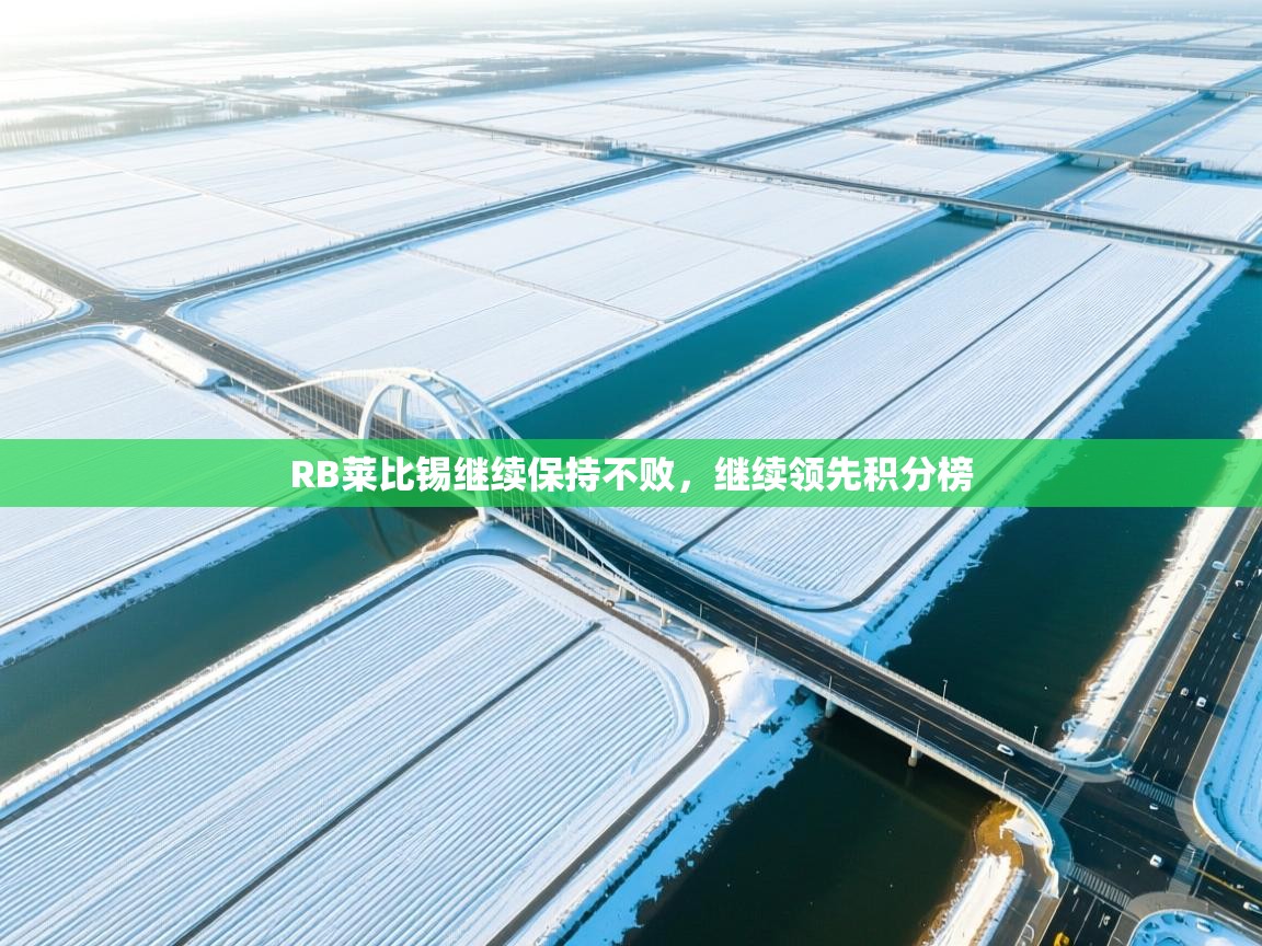 RB莱比锡继续保持不败，继续领先积分榜  第2张