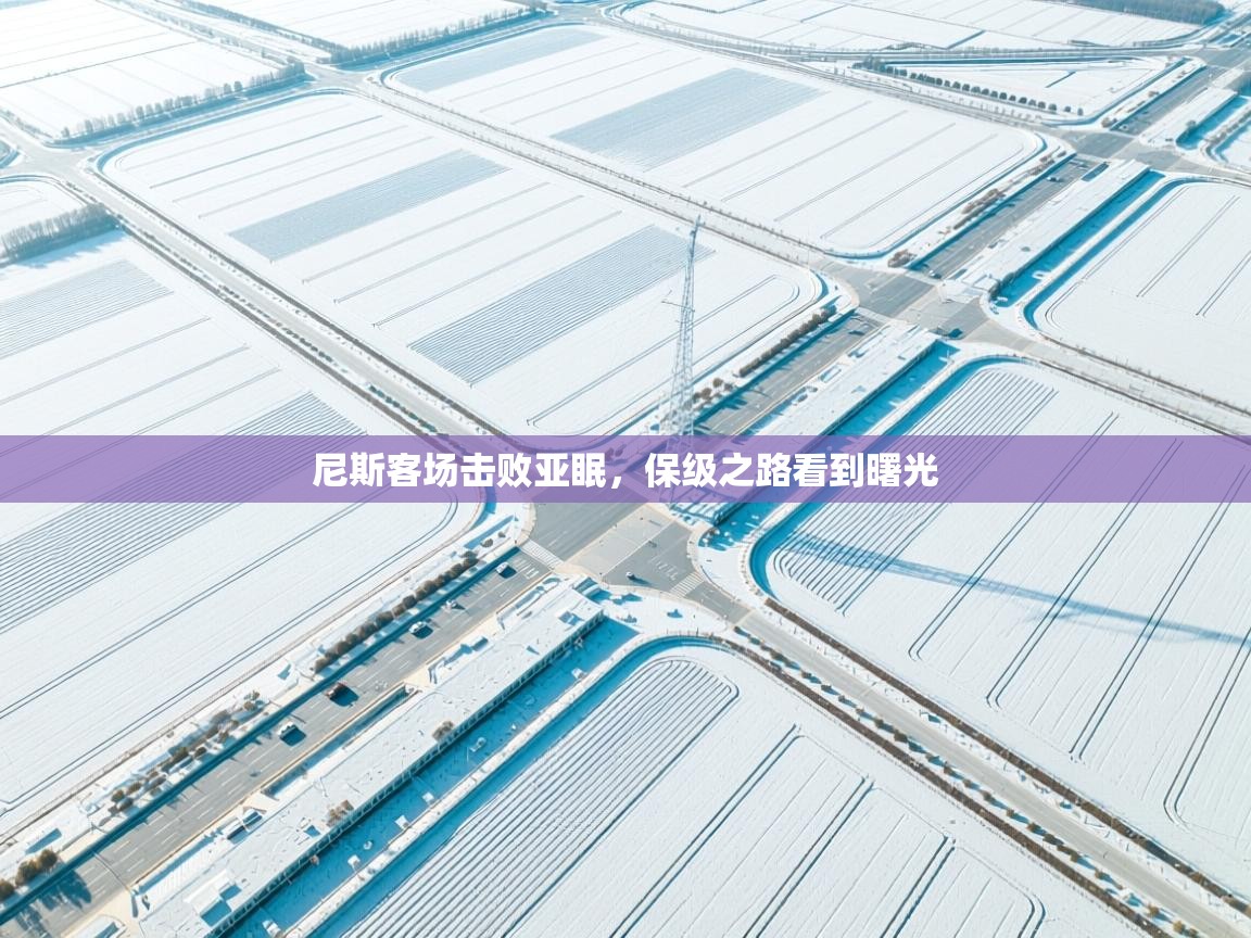 尼斯客场击败亚眠，保级之路看到曙光